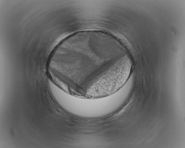 X0000113261457200910081329