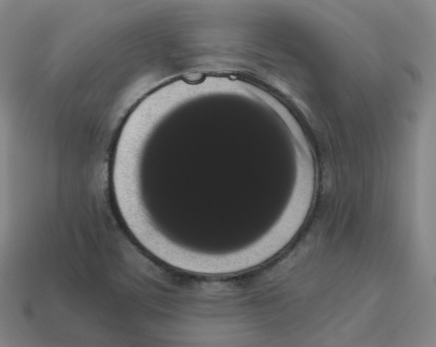 X0000113261459200910081329