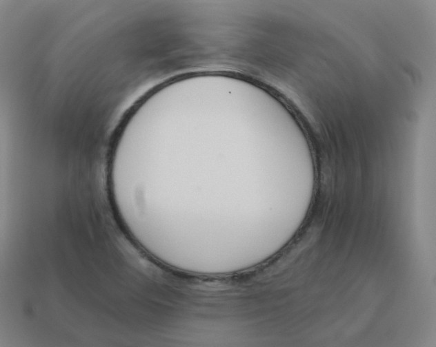 X0000113261460200910081329