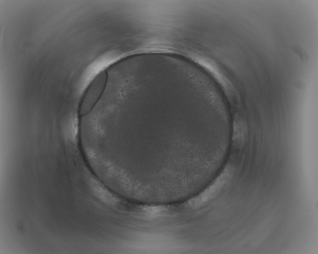 X0000113261461200910081329