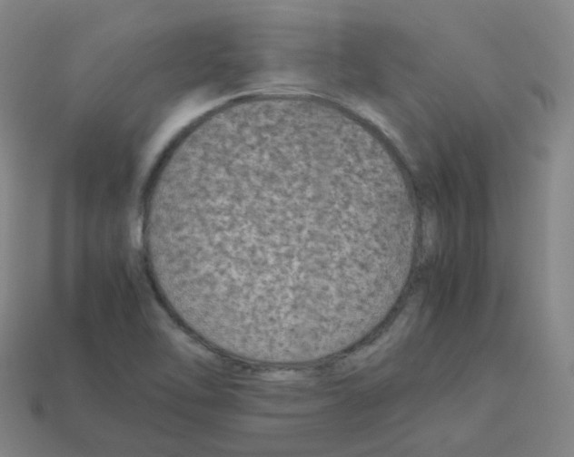 X0000113261462200910081329