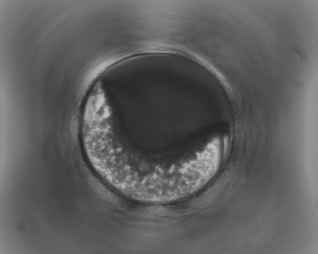 X0000113261463200910081329