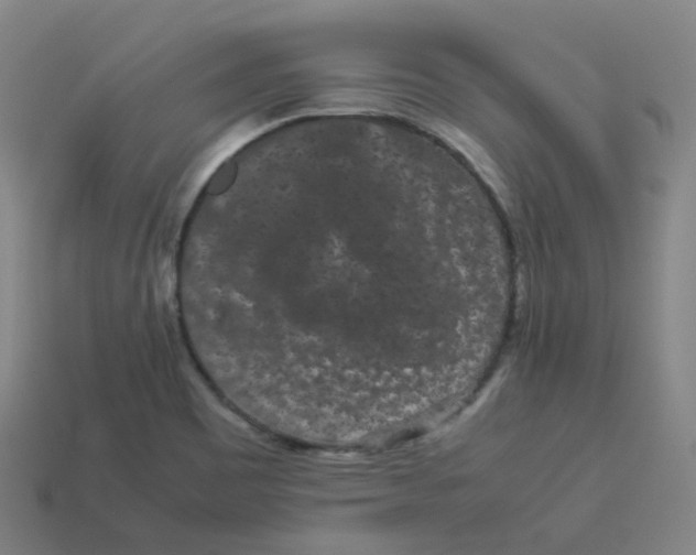X0000113261465200910081329