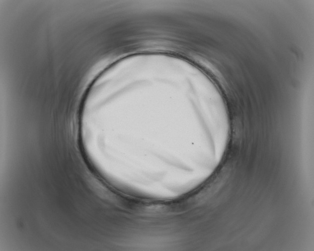 X0000113261467200910081329