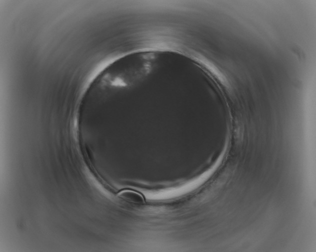 X0000113261468200910081329
