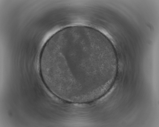 X0000113261469200910081329