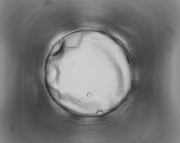 X0000113261471200910081329