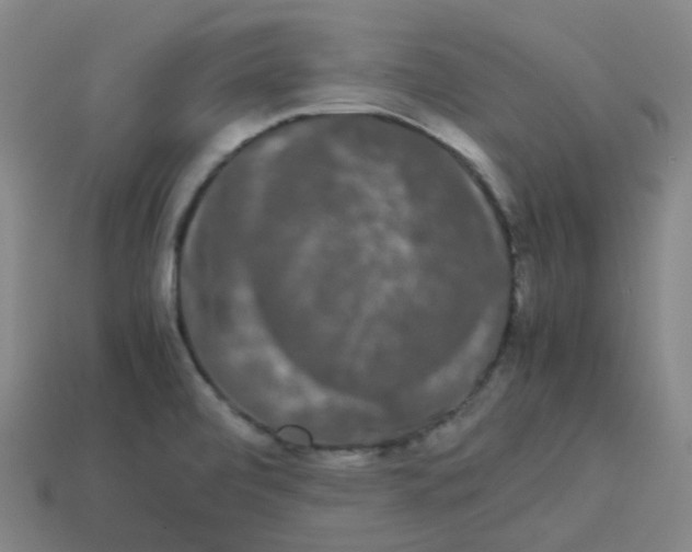 X0000113261472200910081329