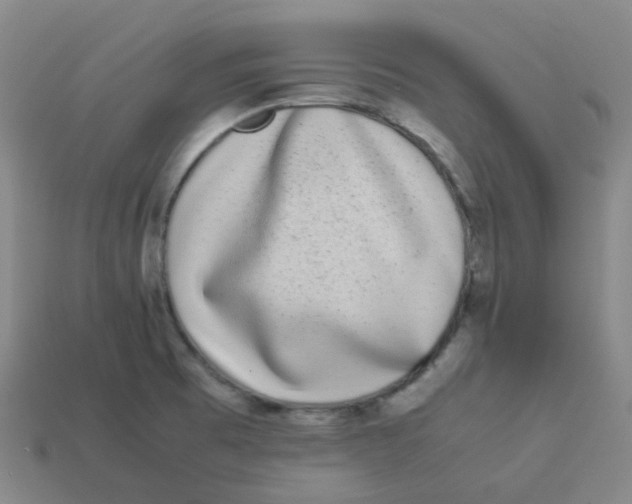 X0000113261473200910081329