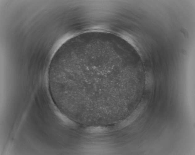 X0000113261474200910081329