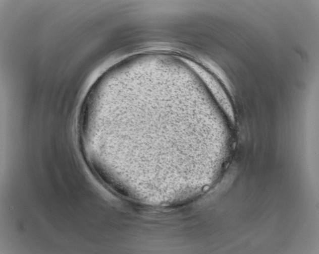 X0000113261475200910081329