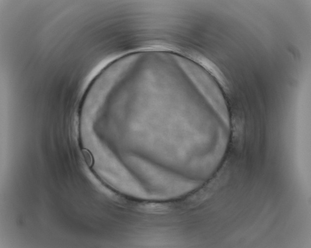 X0000113261476200910081329