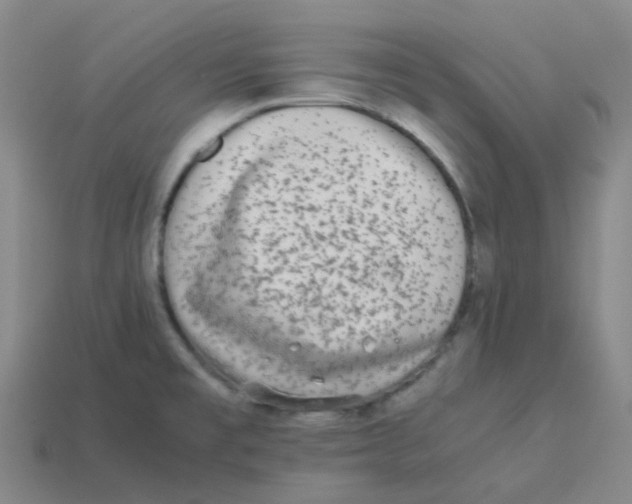 X0000113261477200910081329