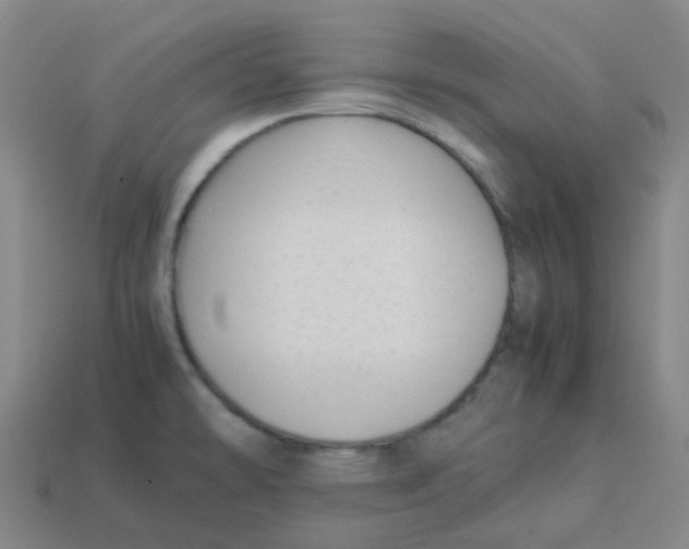X0000113261478200910081329
