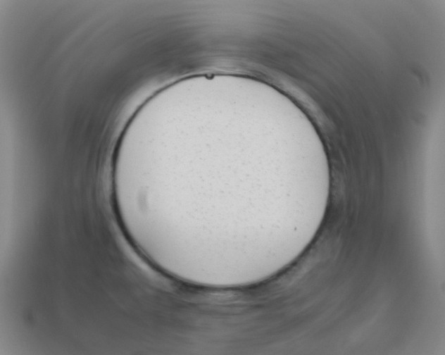 X0000113261479200910081329