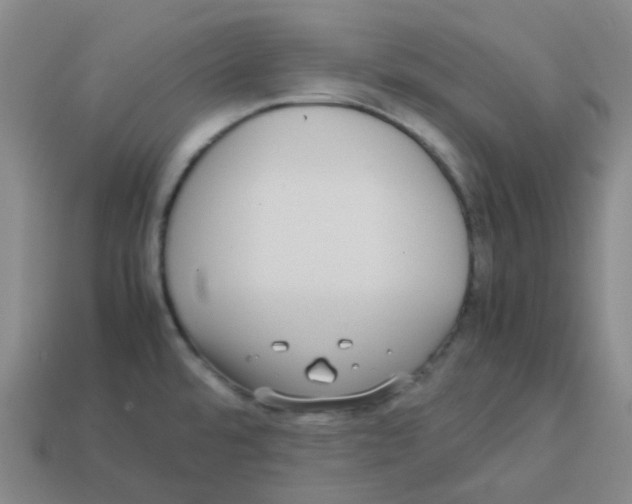 X0000113261480200910081329