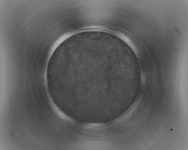 X0000113261482200910081329