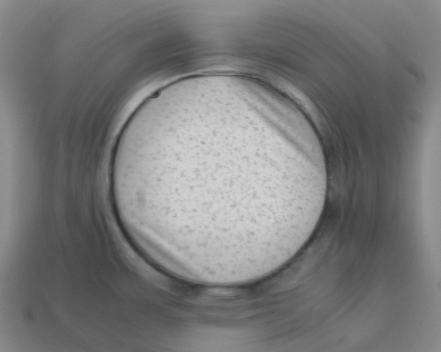 X0000113261483200910081329
