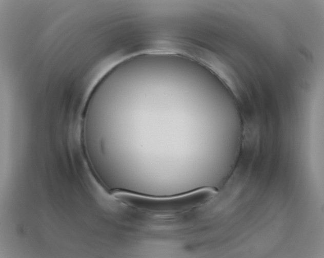 X0000113261484200910081329
