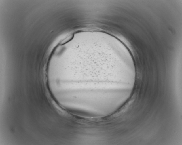 X0000113261485200910081329