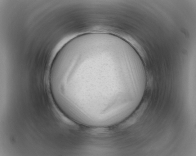 X0000113261486200910081329