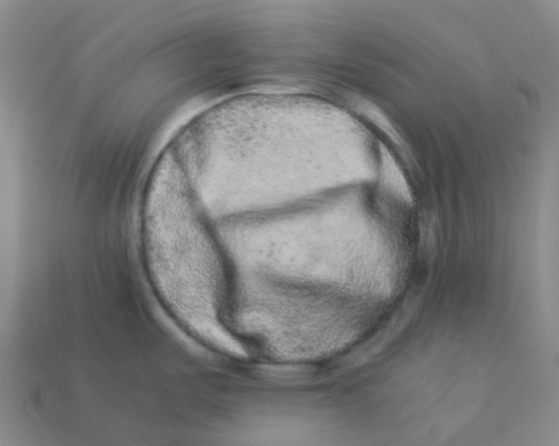 X0000113261487200910081329