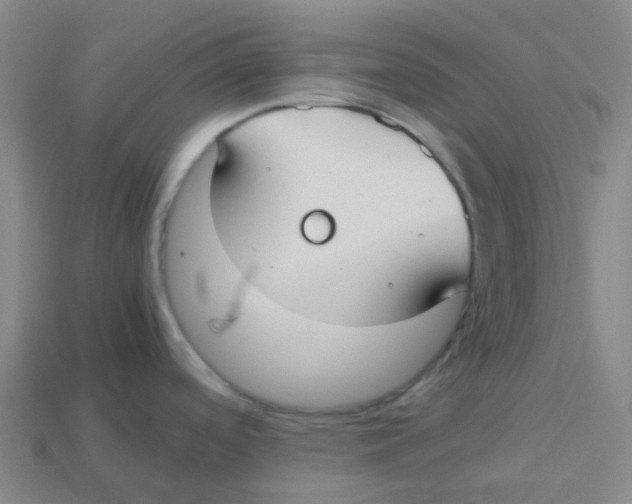 X0000113261488200910081329