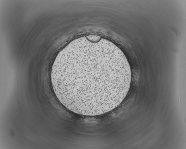 X0000113261489200910081328