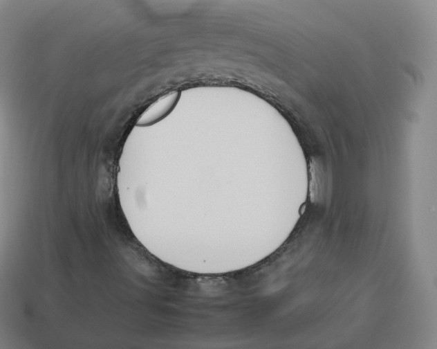 X0000113261491200910081329