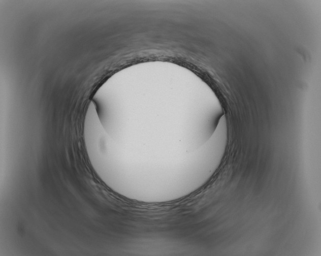 X0000113261492200910081329