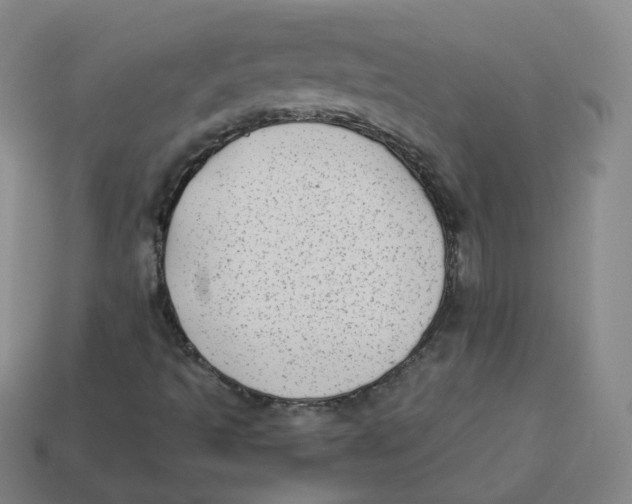 X0000113261493200910081329