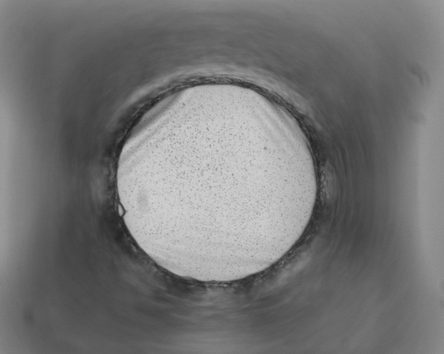 X0000113261494200910081329