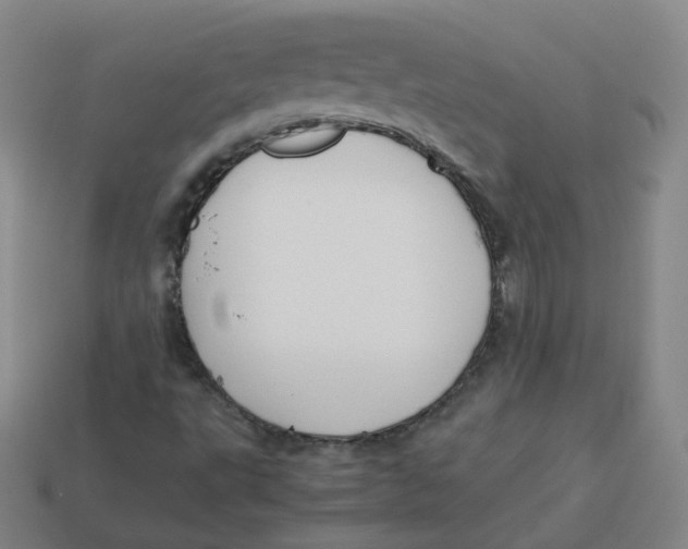 X0000113261495200910081329