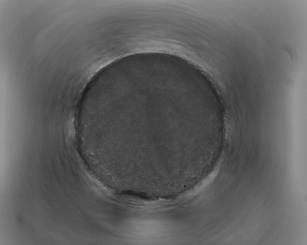 X0000113261497200910081329