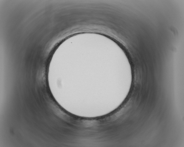 X0000113261498200910081329