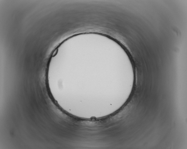 X0000113261500200910081329