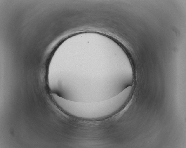 X0000113261502200910081329