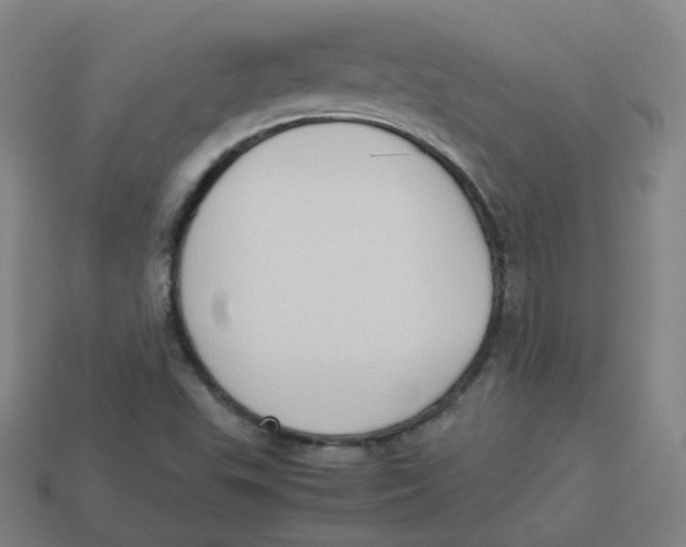X0000113261503200910081329