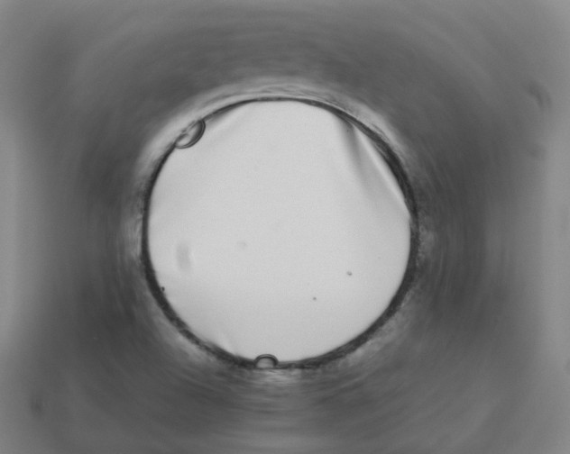 X0000113261504200910081329