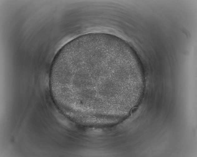 X0000113261505200910081329
