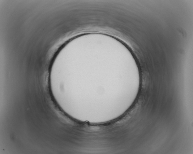 X0000113261507200910081329