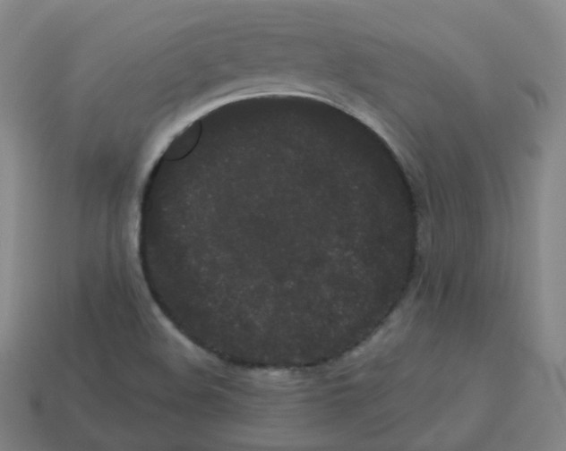 X0000113261508200910081329