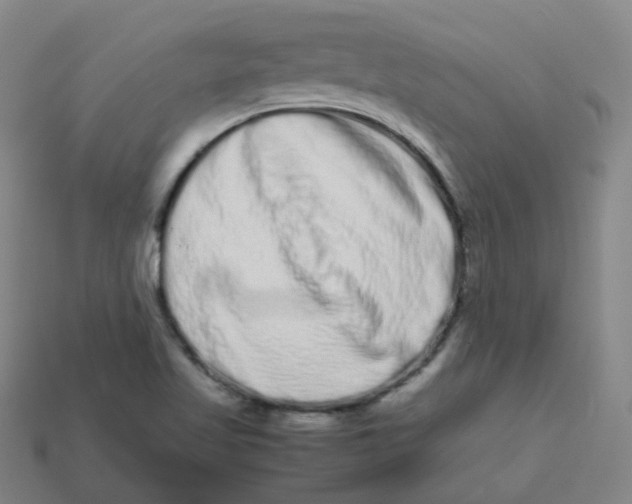 X0000113261509200910081329