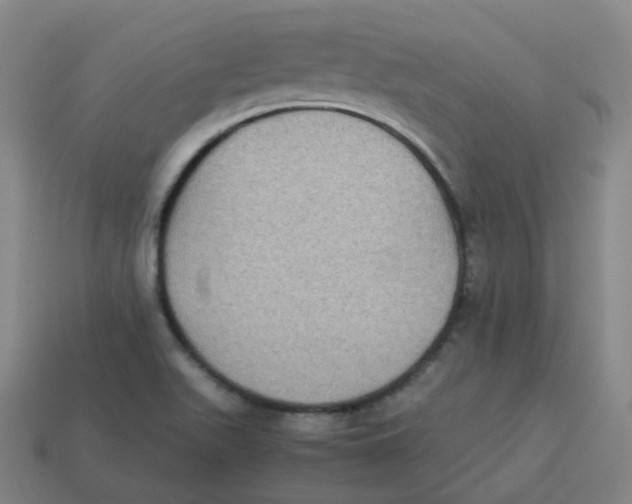 X0000113261511200910081329