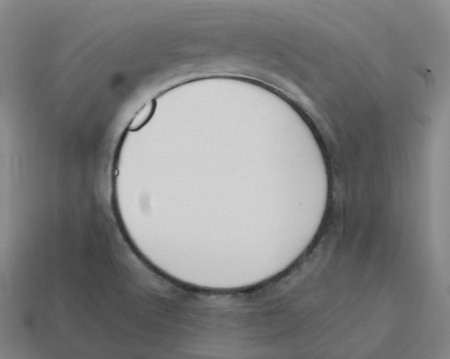 X0000113261512200910081329