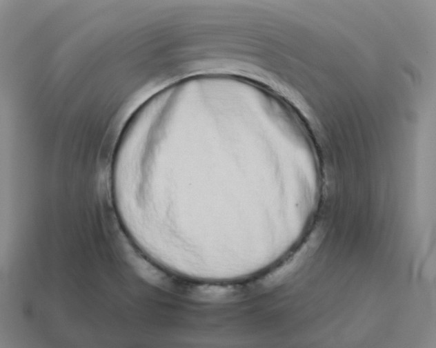 X0000113261513200910081329