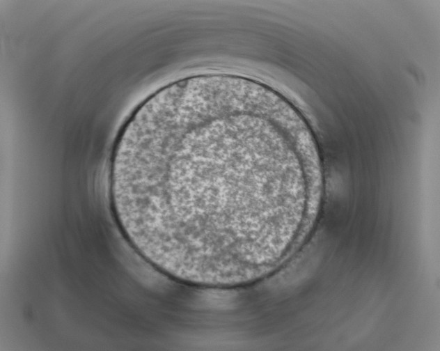 X0000113261514200910081329