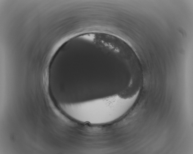 X0000113261515200910081329