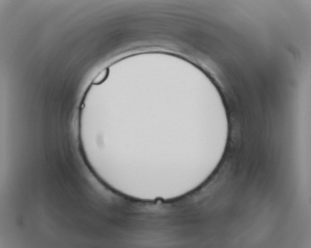 X0000113261516200910081329