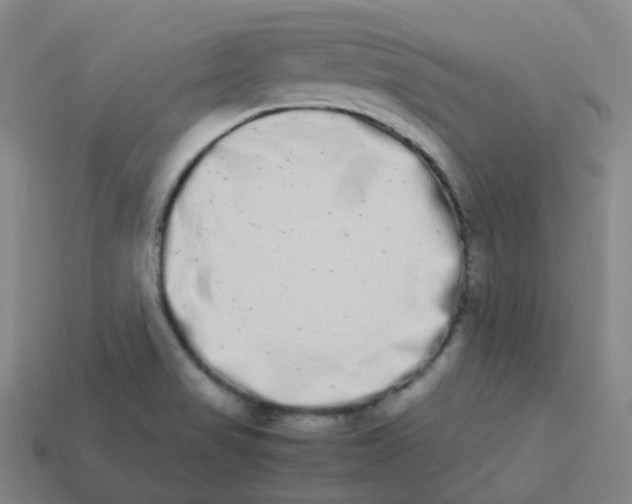 X0000113261517200910081329